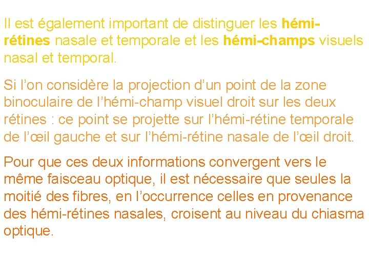 Il est également important de distinguer les hémirétines nasale et temporale et les hémi-champs