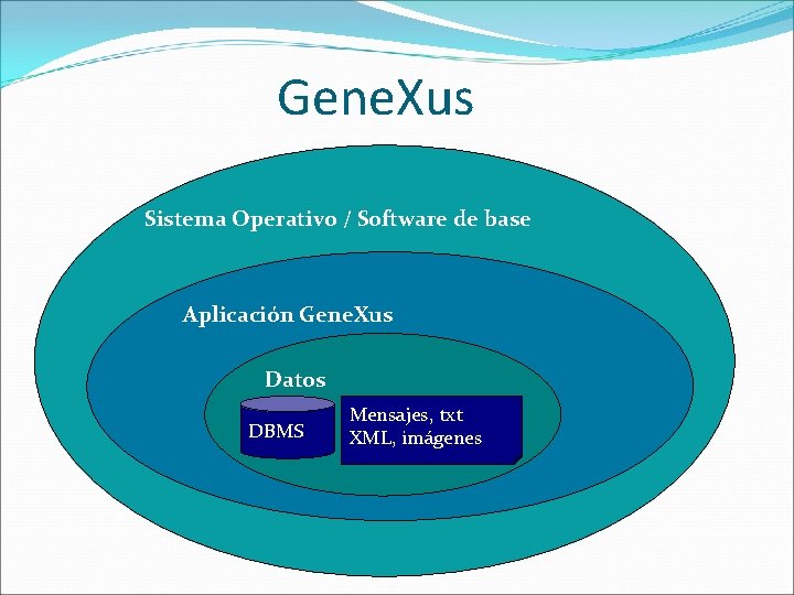 Gene. Xus Sistema Operativo / Software de base Aplicación Gene. Xus Datos DBMS Mensajes,