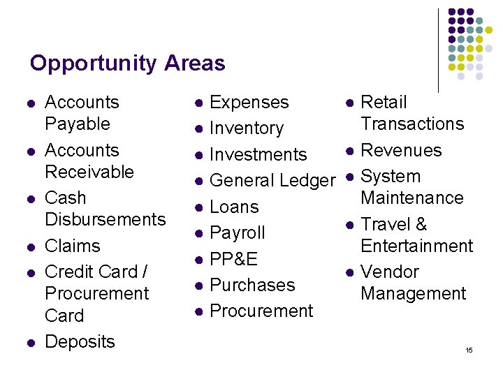 Opportunity Areas l l l Accounts Payable Accounts Receivable Cash Disbursements Claims Credit Card