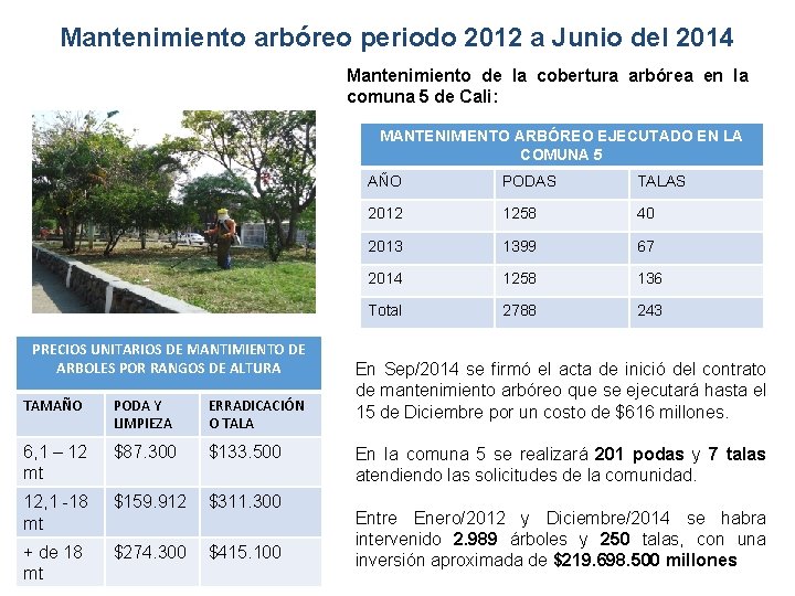 Mantenimiento arbóreo periodo 2012 a Junio del 2014 Mantenimiento de la cobertura arbórea en