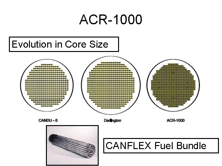 ACR-1000 Evolution in Core Size CANFLEX Fuel Bundle 