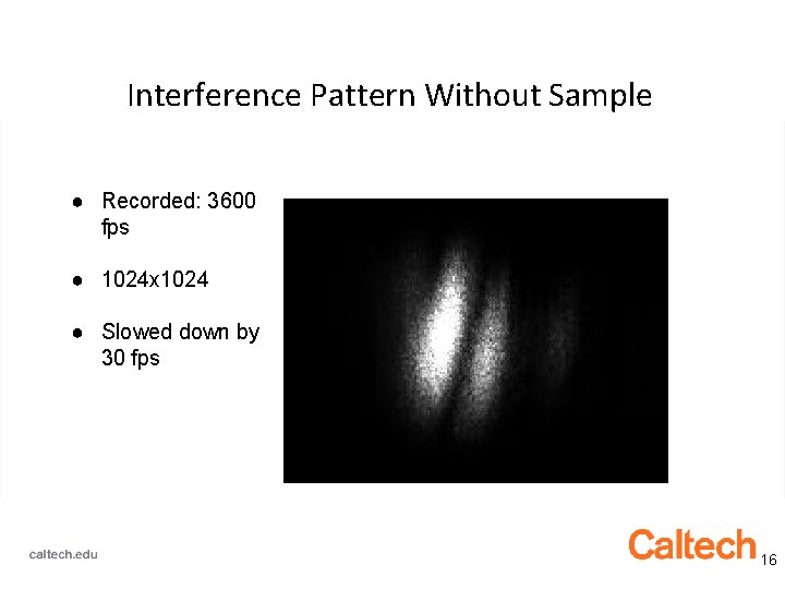 Interference Pattern Without Sample ● Recorded: 3600 fps ● 1024 x 1024 ● Slowed