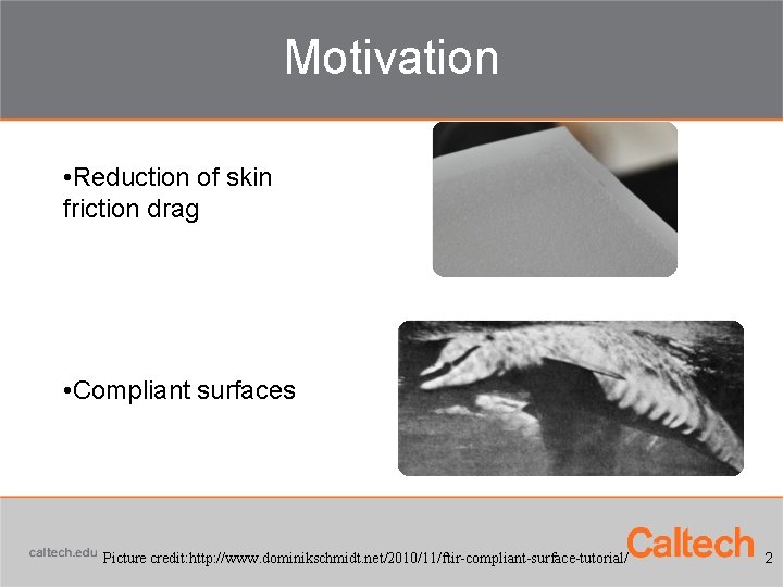Motivation • Reduction of skin friction drag • Compliant surfaces Picture credit: http: //www.