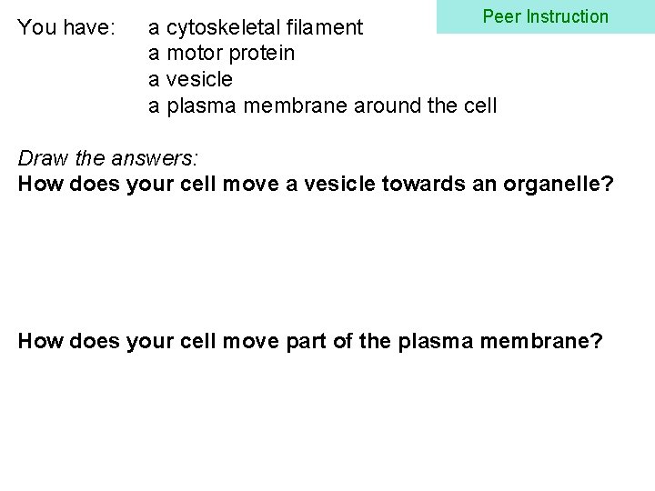 You have: Peer Instruction a cytoskeletal filament a motor protein a vesicle a plasma