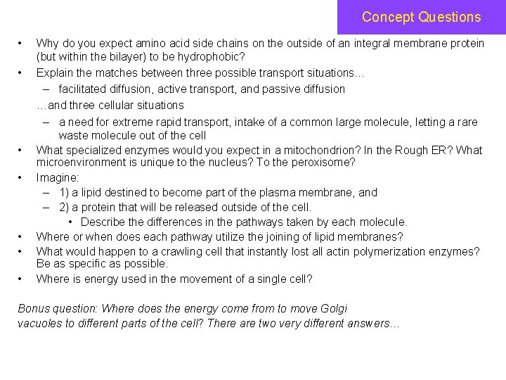 Concept Questions • • Why do you expect amino acid side chains on the