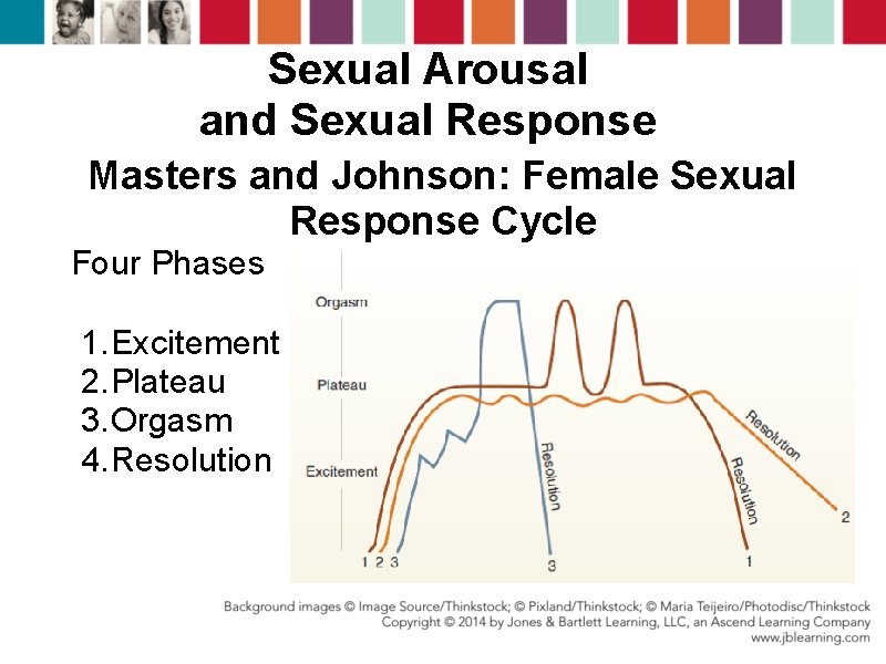 Sexual Arousal and Sexual Response Masters and Johnson: Female Sexual Response Cycle Four Phases