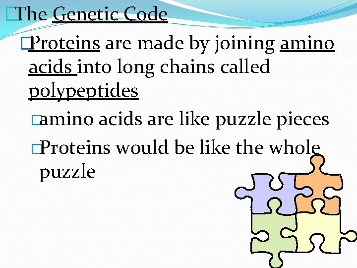 �The Genetic Code �Proteins are made by joining amino acids into long chains called