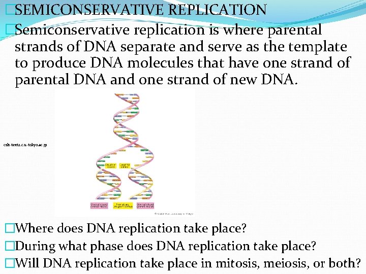 �SEMICONSERVATIVE REPLICATION �Semiconservative replication is where parental strands of DNA separate and serve as