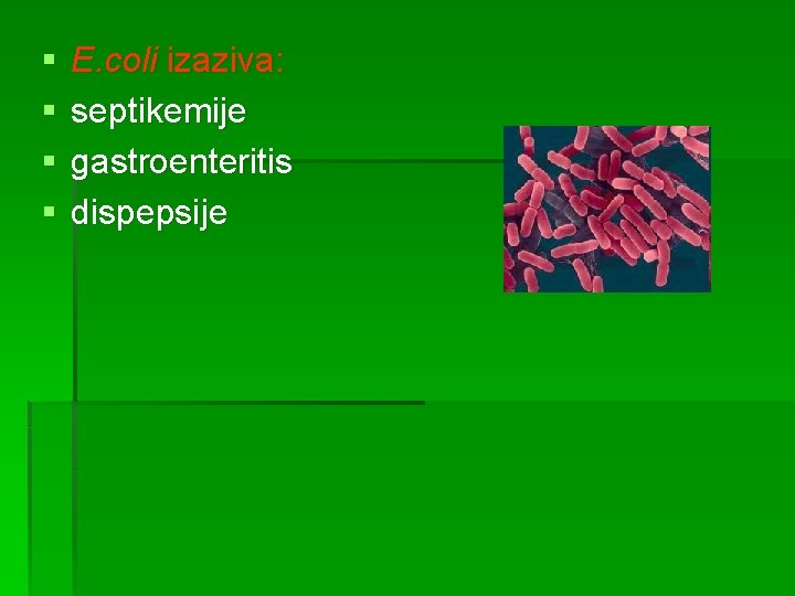 § § E. coli izaziva: septikemije gastroenteritis dispepsije 