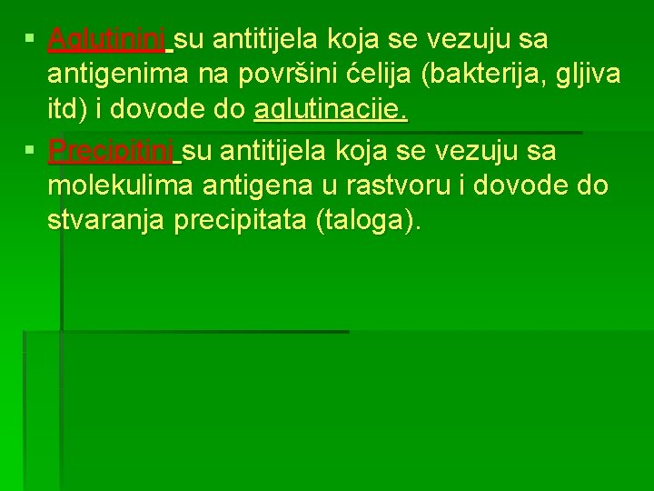 § Aglutinini su antitijela koja se vezuju sa antigenima na površini ćelija (bakterija, gljiva