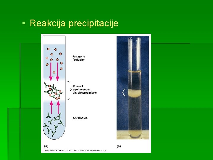 § Reakcija precipitacije 