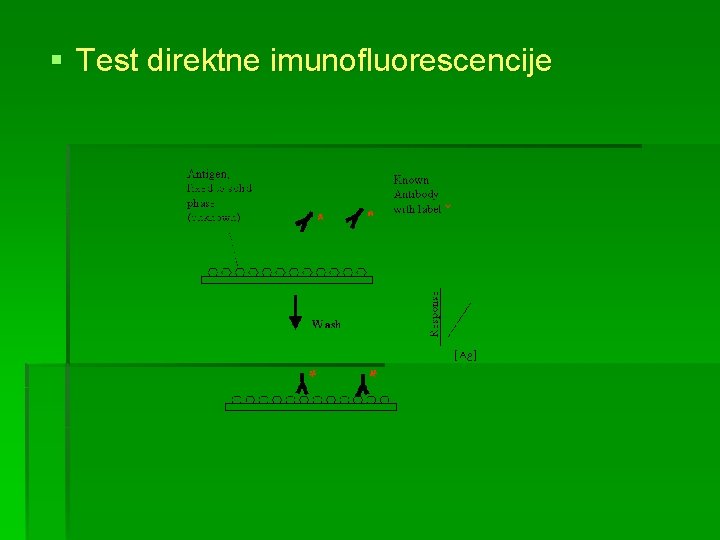 § Test direktne imunofluorescencije 