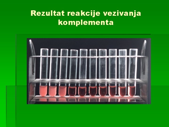 Rezultat reakcije vezivanja komplementa 