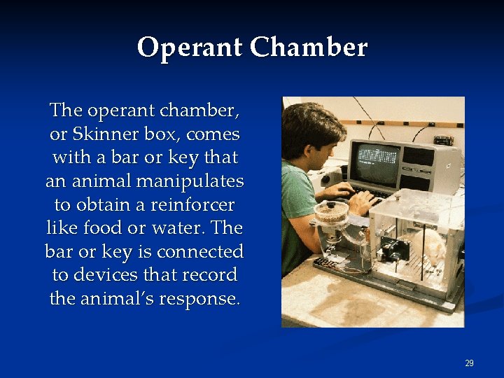 Operant Chamber The operant chamber, or Skinner box, comes with a bar or key