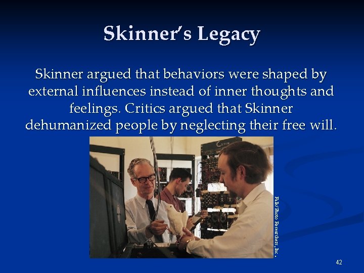 Skinner’s Legacy Skinner argued that behaviors were shaped by external influences instead of inner