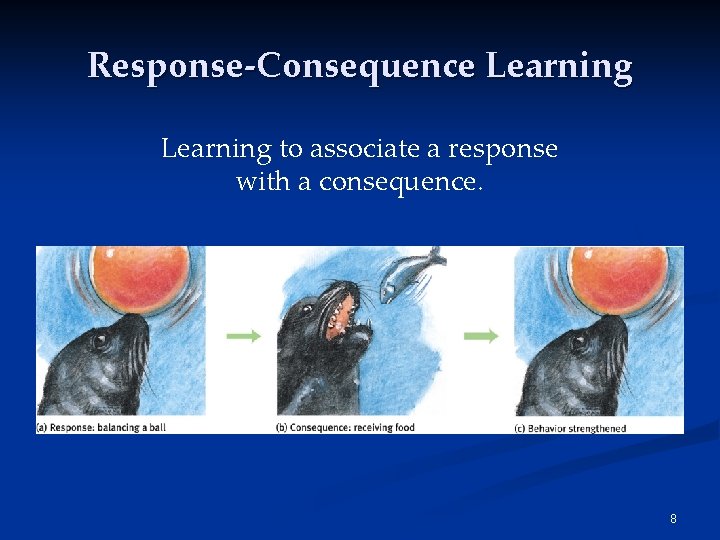 Response-Consequence Learning to associate a response with a consequence. 8 