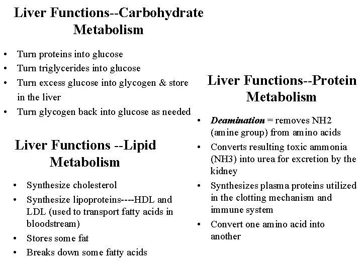 Liver Functions--Carbohydrate Metabolism • Turn proteins into glucose • Turn triglycerides into glucose •