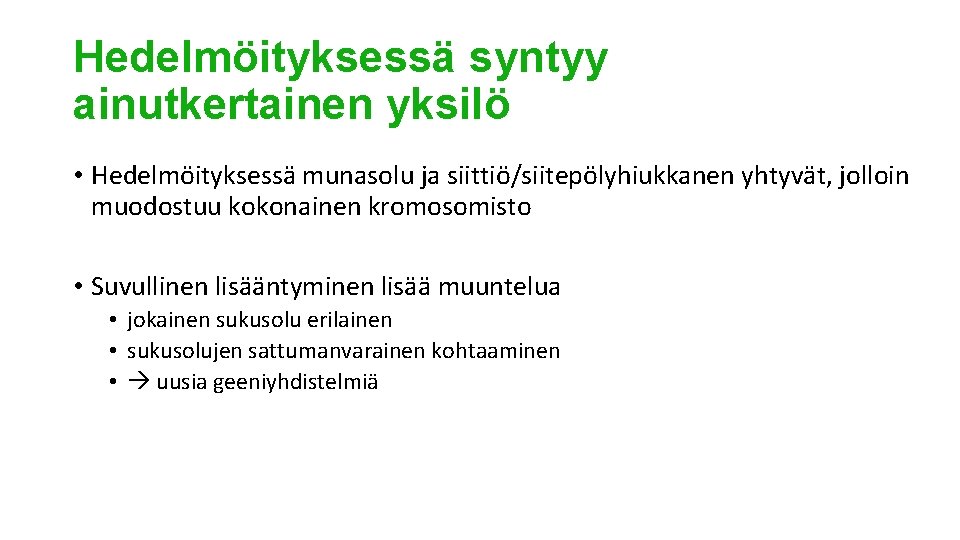 Hedelmöityksessä syntyy ainutkertainen yksilö • Hedelmöityksessä munasolu ja siittiö/siitepölyhiukkanen yhtyvät, jolloin muodostuu kokonainen kromosomisto