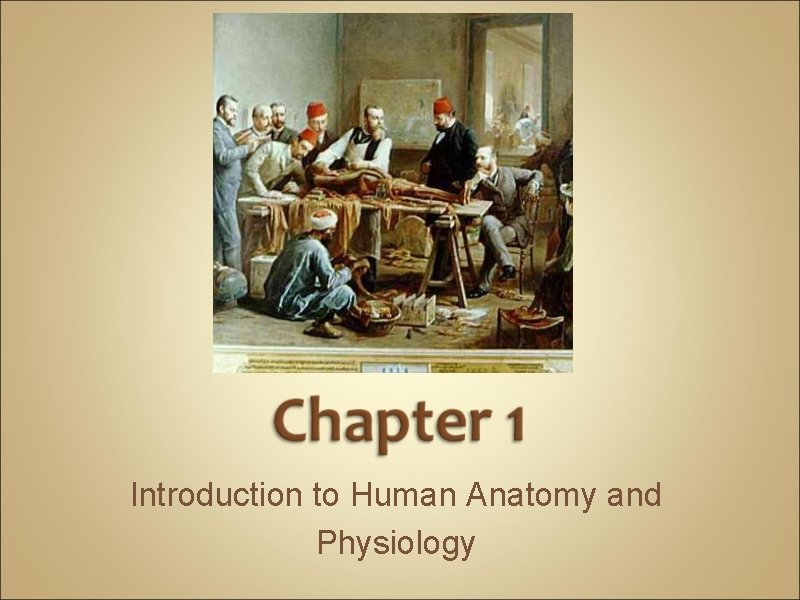 Introduction to Human Anatomy and Physiology 