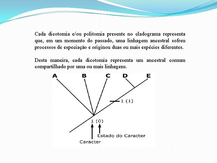 Cada dicotomia e/ou politomia presente no cladograma representa que, em um momento do passado, Cada dicotomia e/ou politomia presente no cladograma representa que, em um momento do passado,