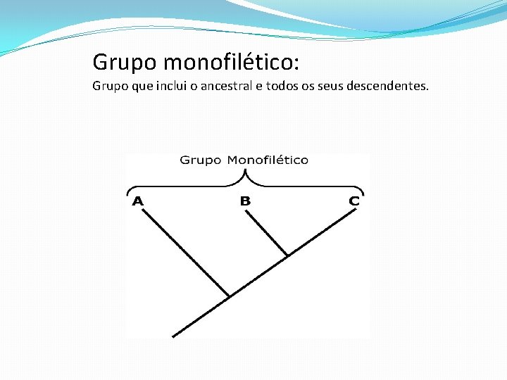 Grupo monofilético: Grupo que inclui o ancestral e todos os seus descendentes. Grupo monofilético: Grupo que inclui o ancestral e todos os seus descendentes.