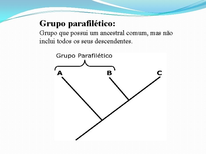 Grupo parafilético: Grupo que possui um ancestral comum, mas não inclui todos os seus Grupo parafilético: Grupo que possui um ancestral comum, mas não inclui todos os seus