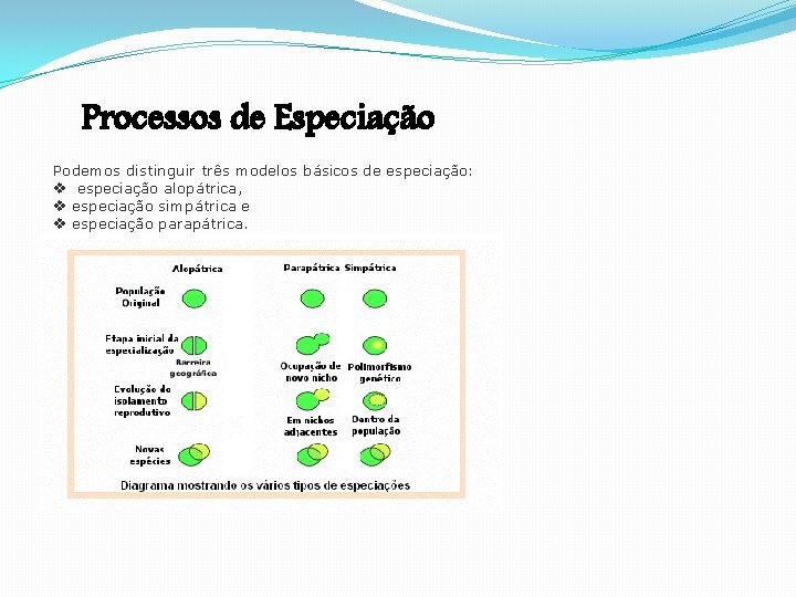 Processos de Especiação Podemos distinguir três modelos básicos de especiação: v especiação alopátrica, v Processos de Especiação Podemos distinguir três modelos básicos de especiação: v especiação alopátrica, v