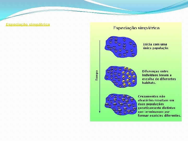 Especiação simpátrica Especiação simpátrica