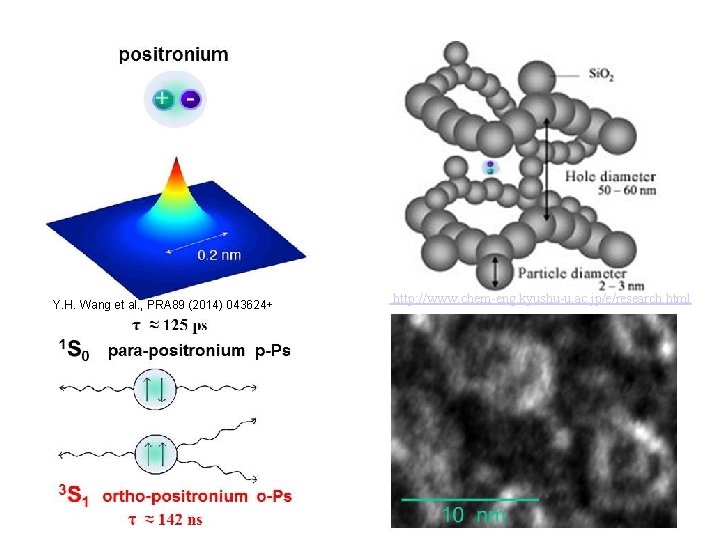 Y. H. Wang et al. , PRA 89 (2014) 043624+ http: //www. chem-eng. kyushu-u.