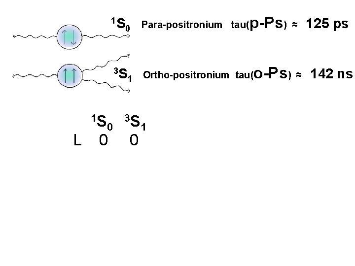 1 S 0 3 S 1 Para-positronium tau( p-Ps) Ortho-positronium tau( 1 S 0