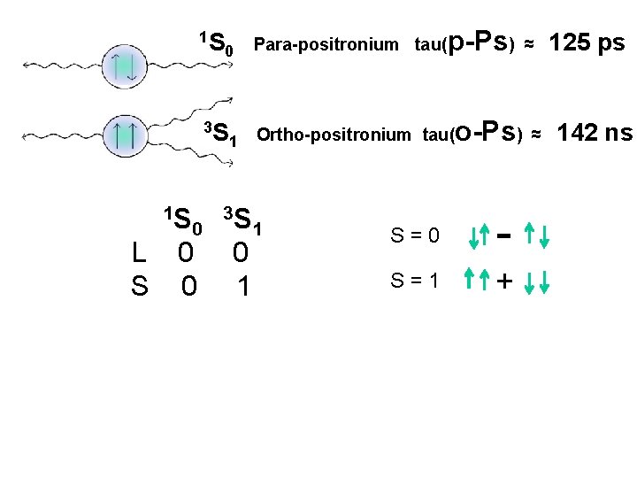 1 S 0 3 S 1 Para-positronium tau( Ortho-positronium tau( 1 S 0 3