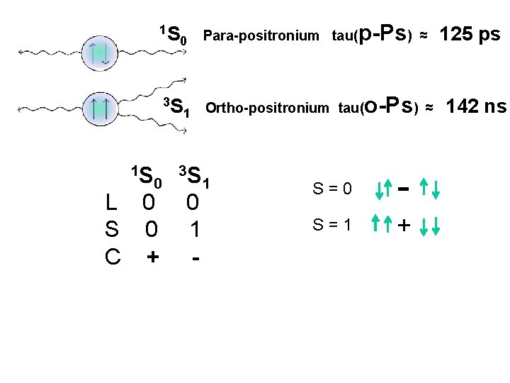 1 S 0 3 S 1 Para-positronium tau( Ortho-positronium tau( 1 S 0 3