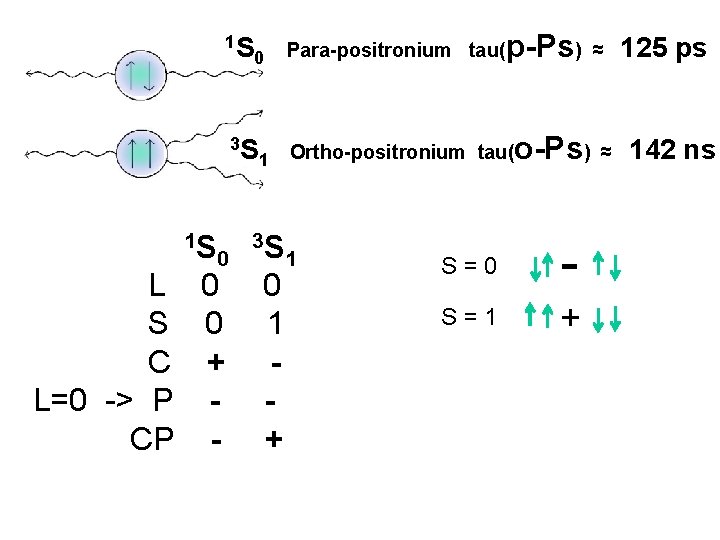 1 S 0 3 S 1 Para-positronium tau( Ortho-positronium tau( 1 S 0 3