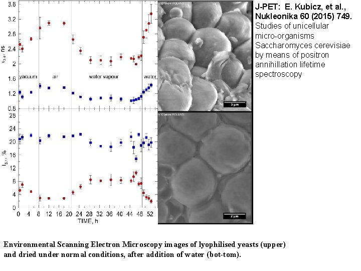 J-PET: E. Kubicz, et al. , Nukleonika 60 (2015) 749. Studies of unicellular micro-organisms