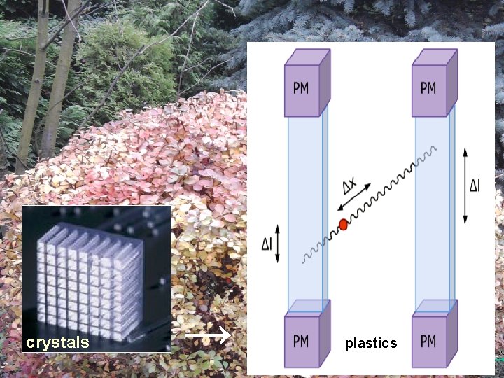  crystals Y → A B D C plastics X 