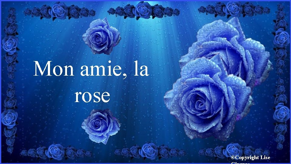 Mon amie, la rose ©Copyright Lise 