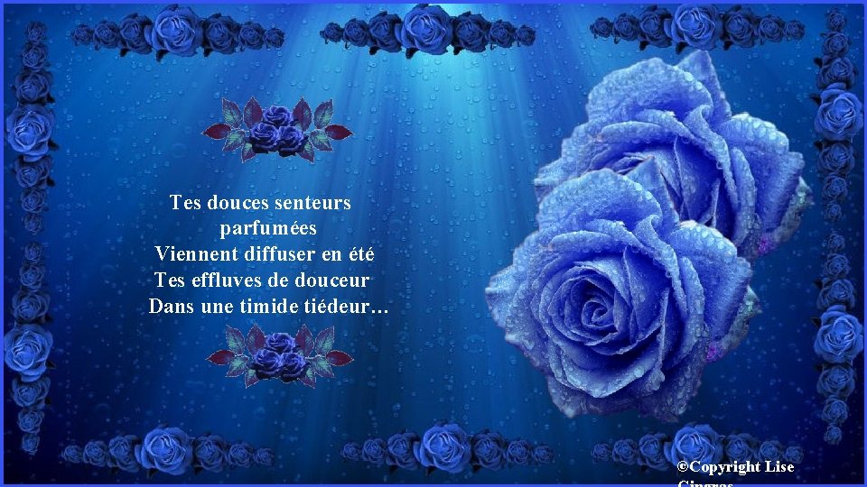Tes douces senteurs parfumées Viennent diffuser en été Tes effluves de douceur Dans une