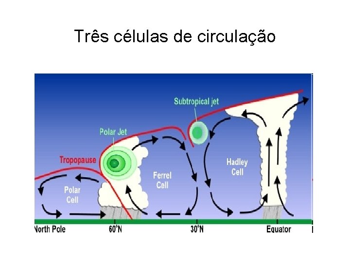 Três células de circulação 