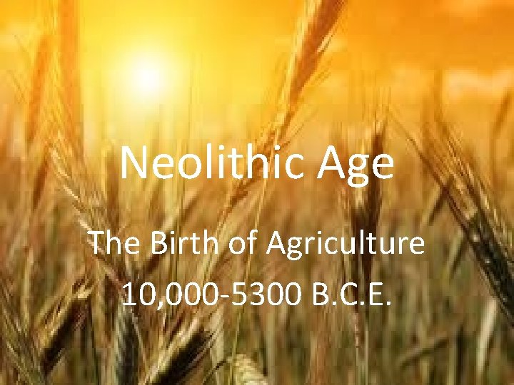 Neolithic Age The Birth of Agriculture 10, 000 -5300 B. C. E. 