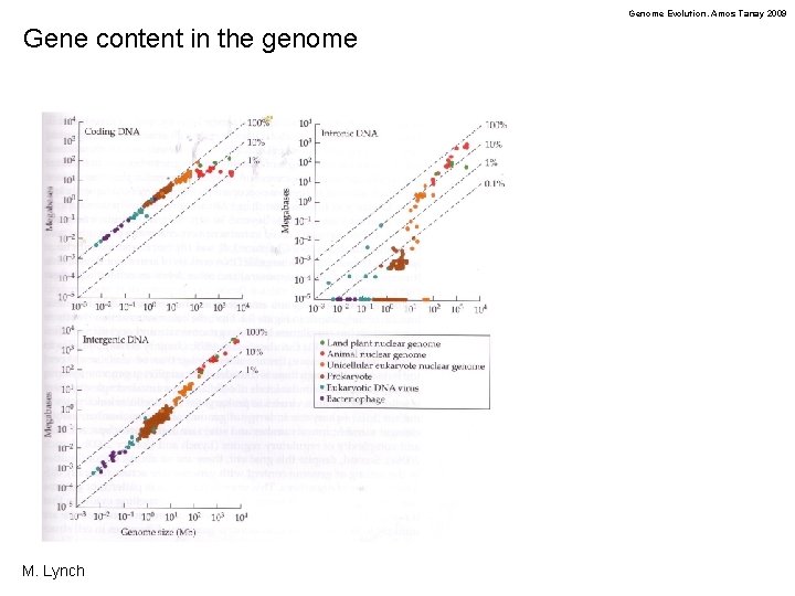 Genome Evolution. Amos Tanay 2009 Gene content in the genome M. Lynch 