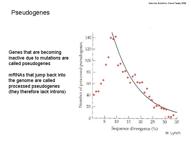 Genome Evolution. Amos Tanay 2009 Pseudogenes Genes that are becoming inactive due to mutations