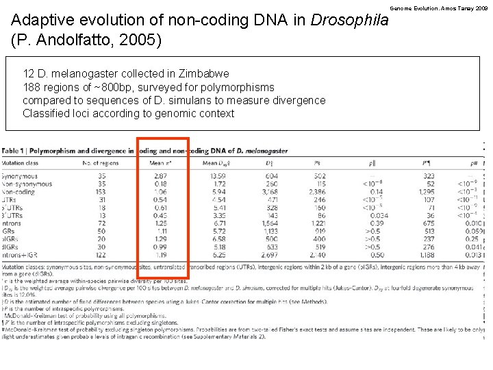 Adaptive evolution of non-coding DNA in Drosophila (P. Andolfatto, 2005) 12 D. melanogaster collected