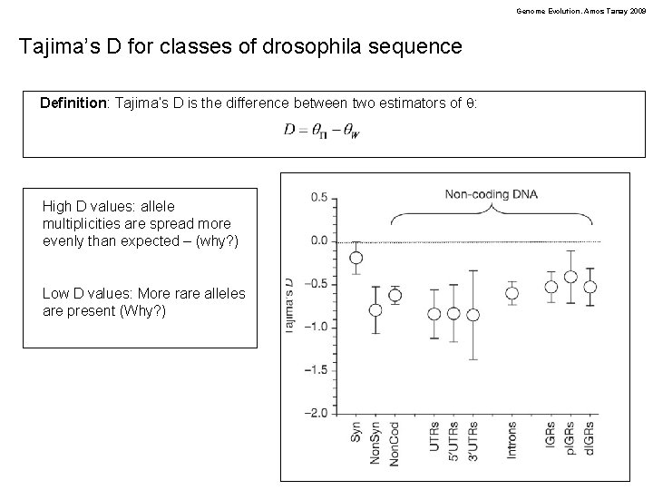 Genome Evolution. Amos Tanay 2009 Tajima’s D for classes of drosophila sequence Definition: Tajima’s