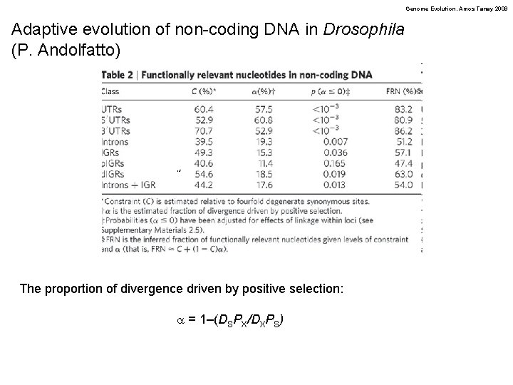 Genome Evolution. Amos Tanay 2009 Adaptive evolution of non-coding DNA in Drosophila (P. Andolfatto)