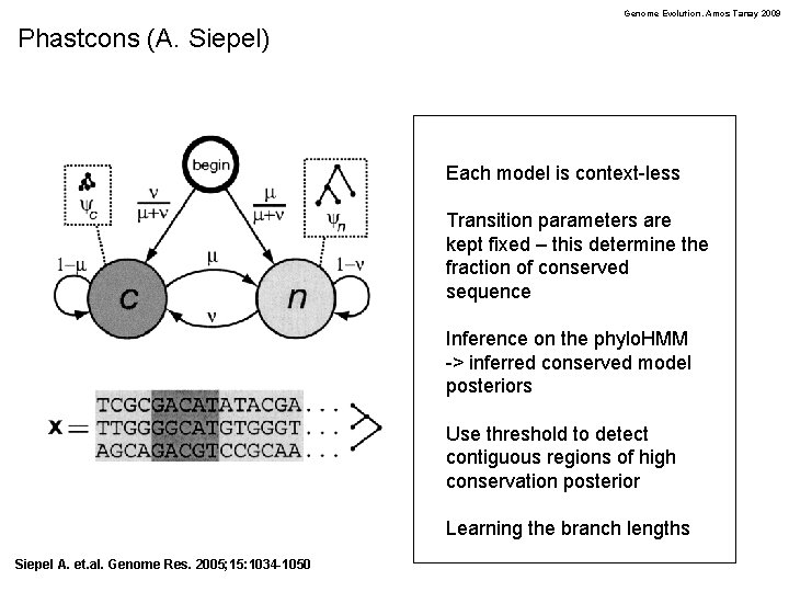 Genome Evolution. Amos Tanay 2009 Phastcons (A. Siepel) Each model is context-less Transition parameters