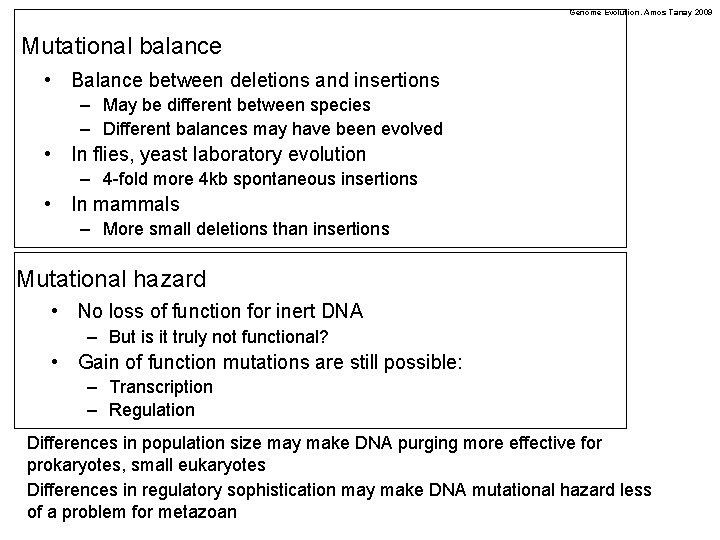 Genome Evolution. Amos Tanay 2009 Mutational balance • Balance between deletions and insertions –