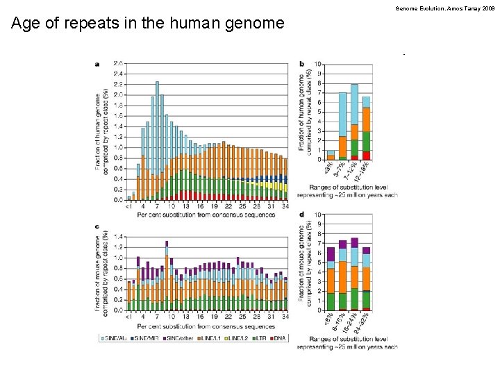 Genome Evolution. Amos Tanay 2009 Age of repeats in the human genome 