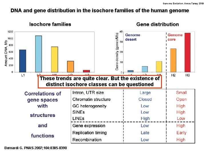 Genome Evolution. Amos Tanay 2009 DNA and gene distribution in the isochore families of