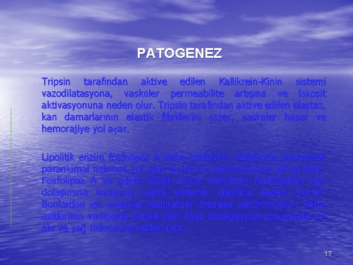 PATOGENEZ Tripsin tarafından aktive edilen Kallikrein-Kinin sistemi vazodilatasyona, vasküler permeabilite artışına ve lökosit aktivasyonuna