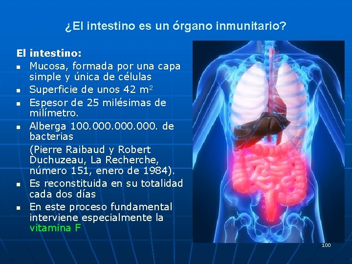 ¿El intestino es un órgano inmunitario? El intestino: n Mucosa, formada por una capa ¿El intestino es un órgano inmunitario? El intestino: n Mucosa, formada por una capa